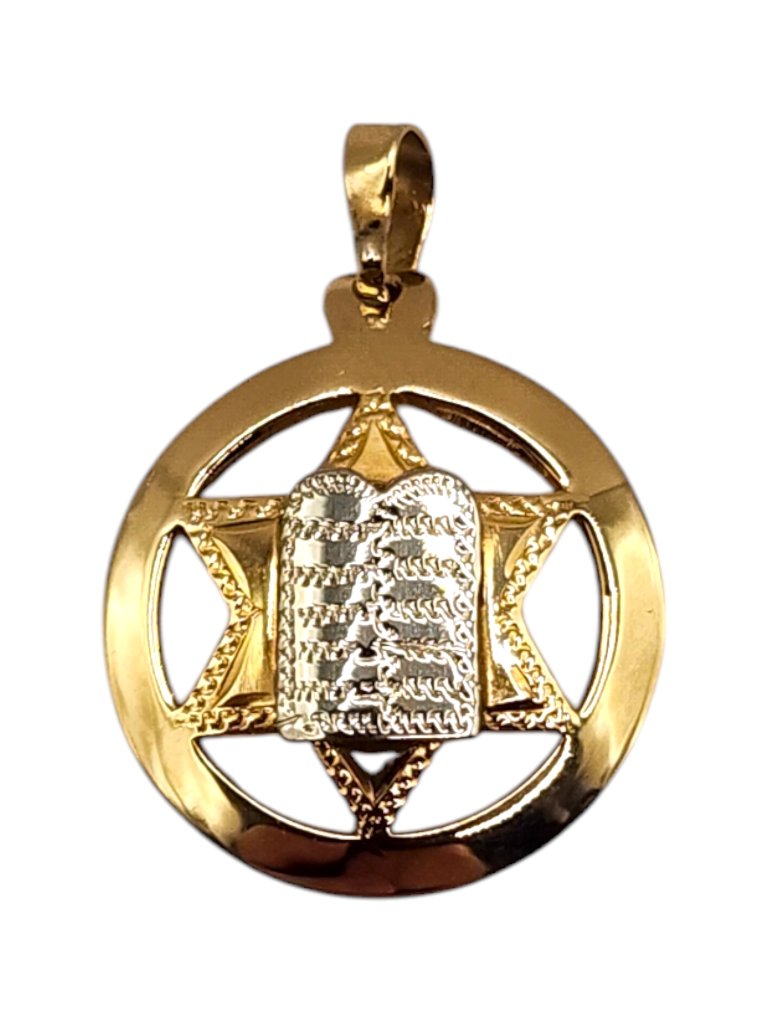 14 Karat Yellow & White Gold Star Of David With Torah Charm #19996